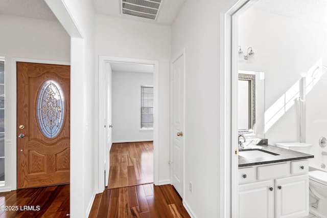 foyer with dark wood-type flooring and sink