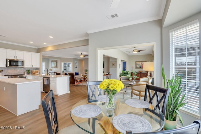 dining area with visible vents, ornamental molding, a ceiling fan, and light wood finished floors