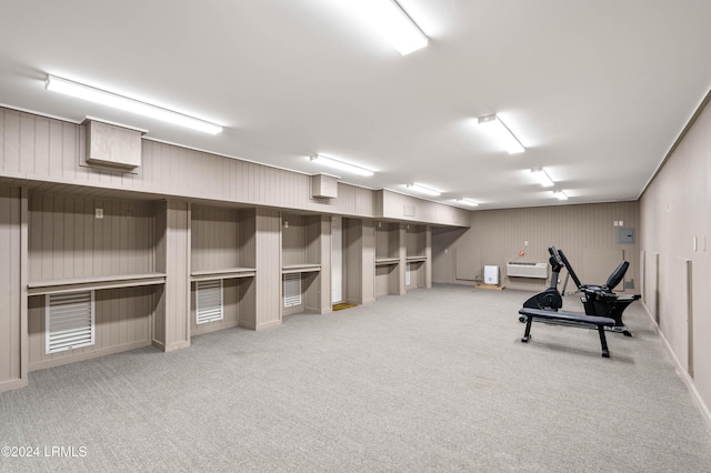 basement with carpet