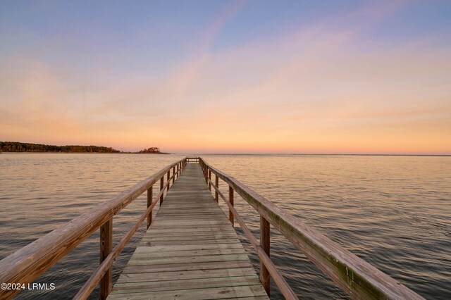 dock area with a water view