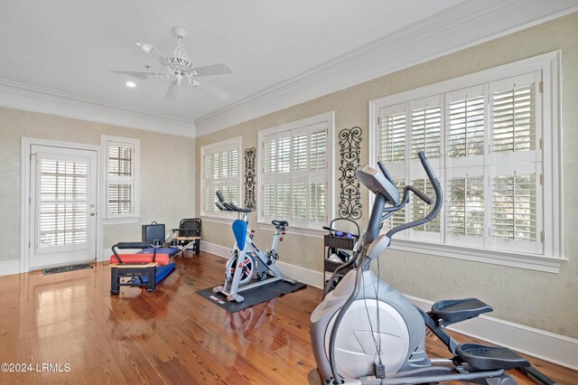 exercise room featuring hardwood / wood-style flooring, ornamental molding, and ceiling fan