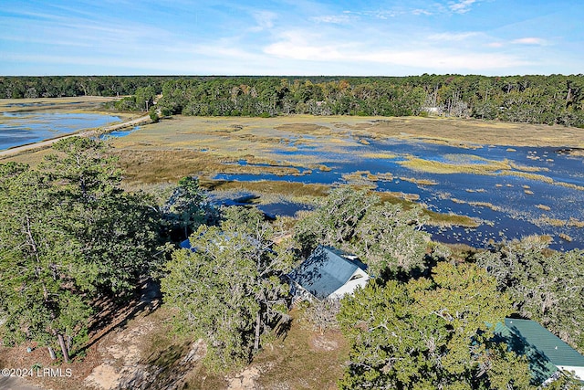 aerial view with a water view and a view of trees