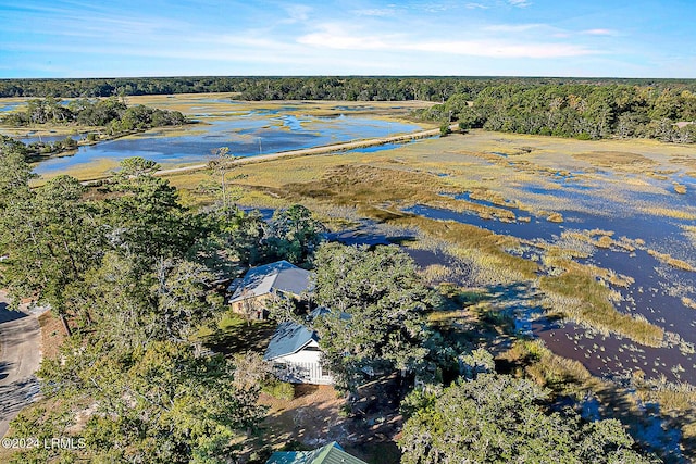 bird's eye view featuring a water view and a wooded view