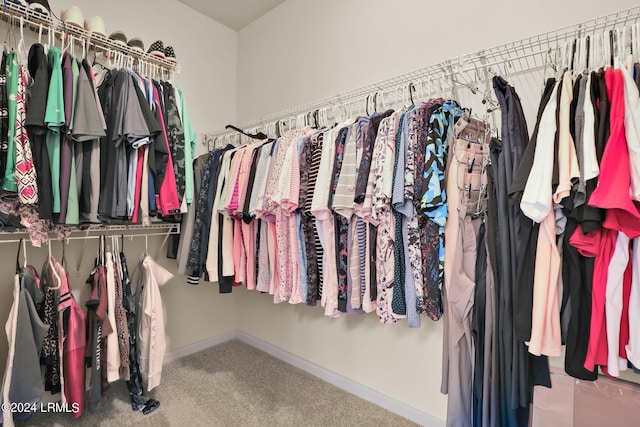 spacious closet featuring carpet flooring