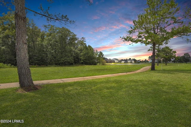 view of home's community with a yard