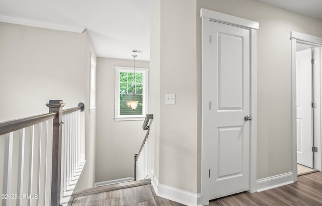 28 Laughing Gull Dr, Beaufort, SC 29907 - staircase with baseboards and wood finished floors