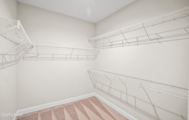 28 Laughing Gull Dr, Beaufort, SC 29907 - walk in closet with light colored carpet