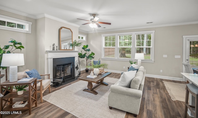 28 Laughing Gull Dr, Beaufort, SC 29907 - living room with a fireplace with flush hearth, plenty of natural light, ceiling fan, dark wood-type flooring, and crown molding