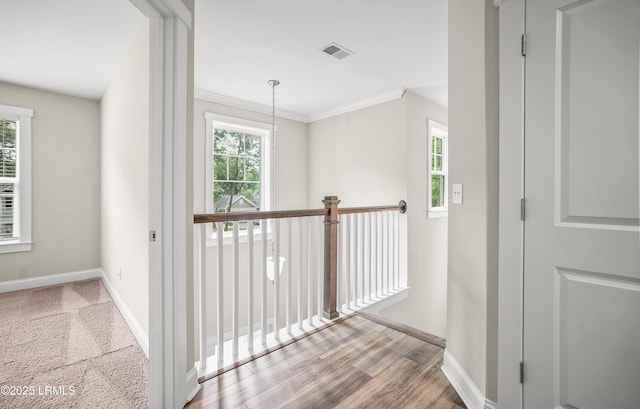 28 Laughing Gull Dr, Beaufort, SC 29907 - hall featuring healthy amount of natural light, baseboards, ornamental molding, and wood finished floors