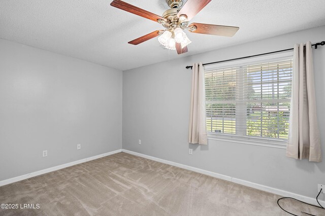 13005 Gail St, Beaufort, SC 29906 - photo 28