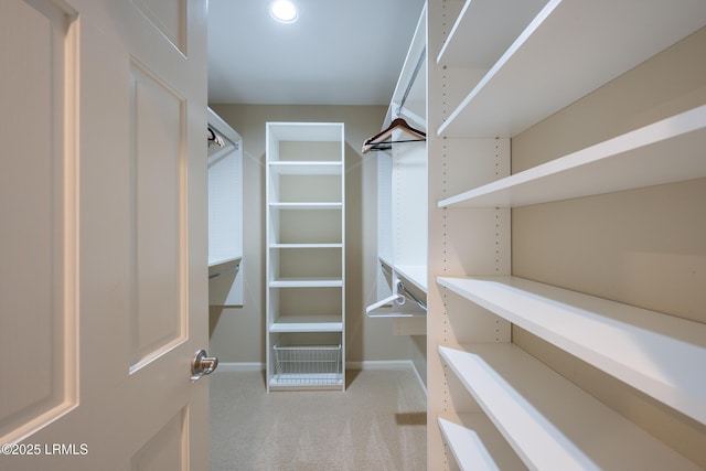 6 River Marsh Ln, Okatie, SC 29909 - spacious closet featuring light carpet