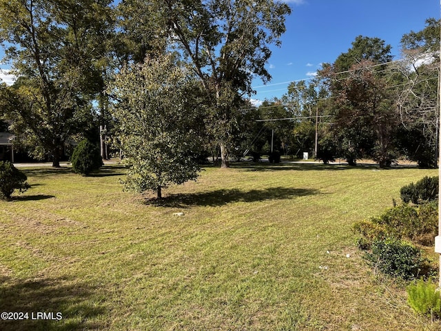 901 7th St W, Fairfax, SC 29827 - view of yard