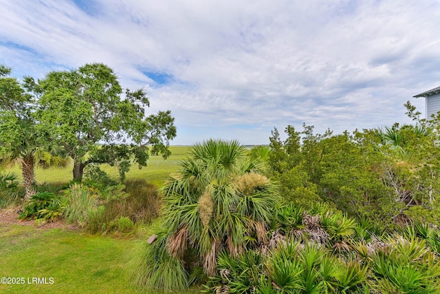 862 Bonito Rd, Fripp Island, SC 29920 - photo 12