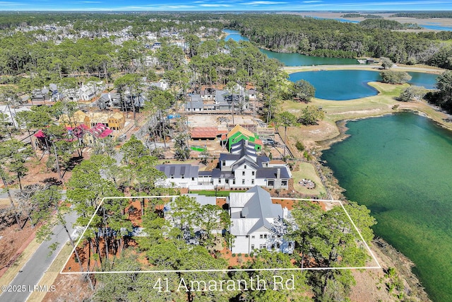 41 Amaranth Rd, Bluffton, SC 29910 - photo 35