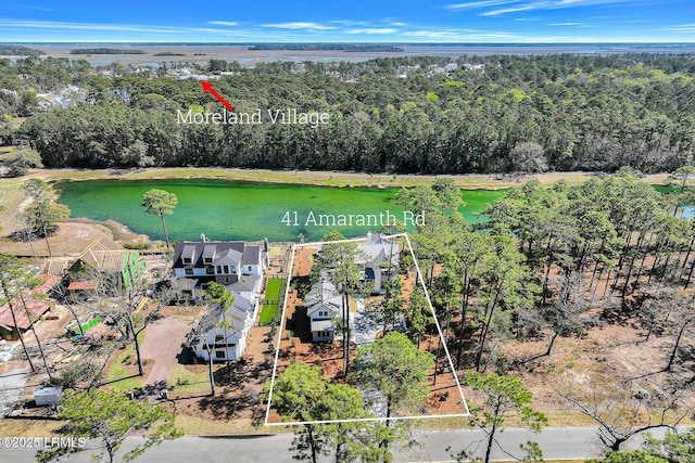 41 Amaranth Rd, Bluffton, SC 29910 - photo 34