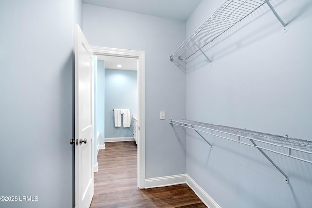 95 Salkehatchie Rd, Yemassee, SC 29945 - spacious closet featuring dark wood-type flooring