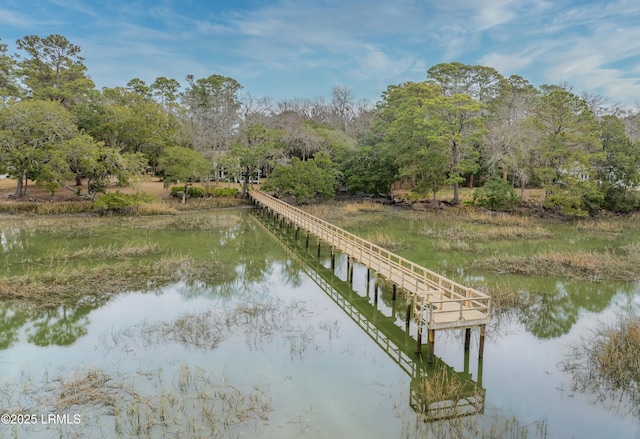 dock area with a water view