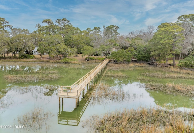 view of dock with a water view