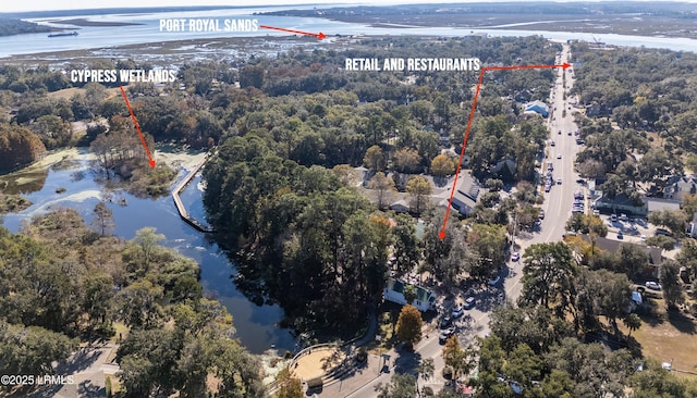 birds eye view of property featuring a water view and a wooded view