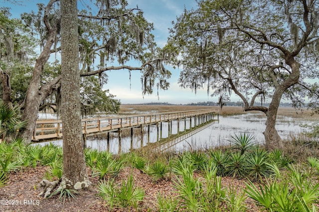 view of dock