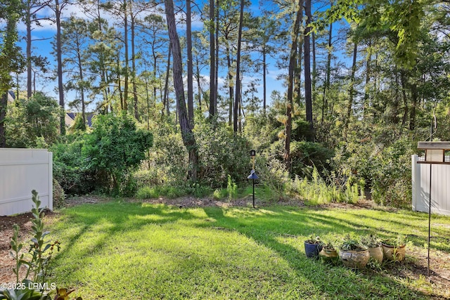 52 Lake Linden Ln Unit 52, Bluffton, SC 29910 - view of yard