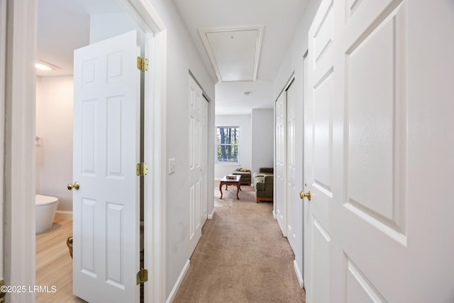 52 Lake Linden Ln Unit 52, Bluffton, SC 29910 - hall with attic access and light colored carpet