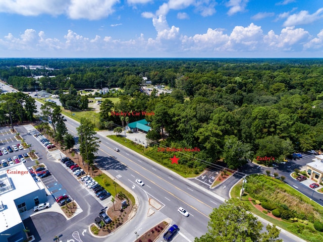 218 Robert Smalls Pkwy, Beaufort, SC 29906 - photo 1