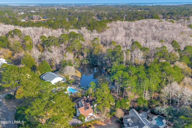 11 Tillinghast Cir, Bluffton, SC 29910 - photo 58