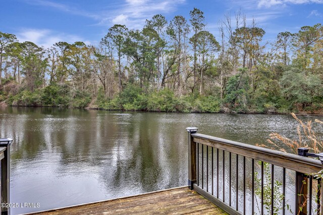 11 Tillinghast Cir, Bluffton, SC 29910 - photo 50
