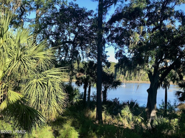 235 Callawassie Dr, Okatie, SC 29909 - photo 10