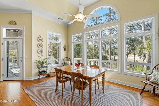 235 Callawassie Dr, Okatie, SC 29909 - photo 23