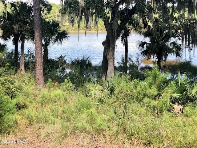 235 Callawassie Dr, Okatie, SC 29909 - photo 2