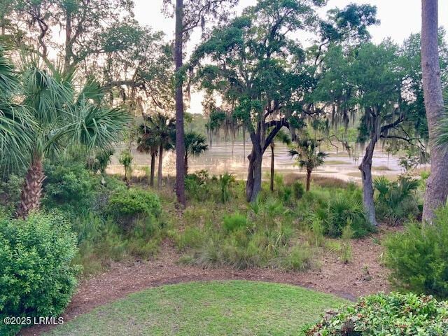 235 Callawassie Dr, Okatie, SC 29909 - photo 3
