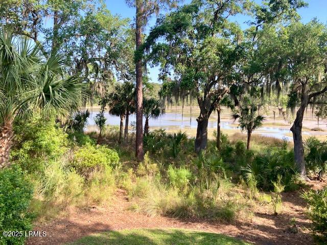 235 Callawassie Dr, Okatie, SC 29909 - photo 8