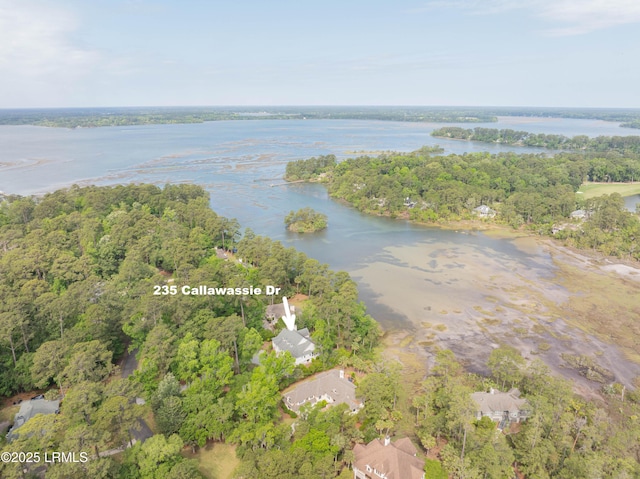 235 Callawassie Dr, Okatie, SC 29909 - photo 4