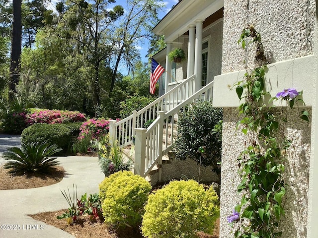 235 Callawassie Dr, Okatie, SC 29909 - photo 13
