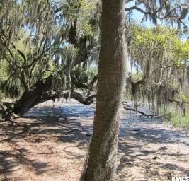 Listing photo 3 for 40 Briarpatch Ln, Beaufort SC 29907