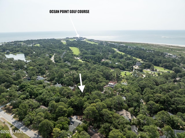 717 Marlin Dr, Fripp Island, SC 29920