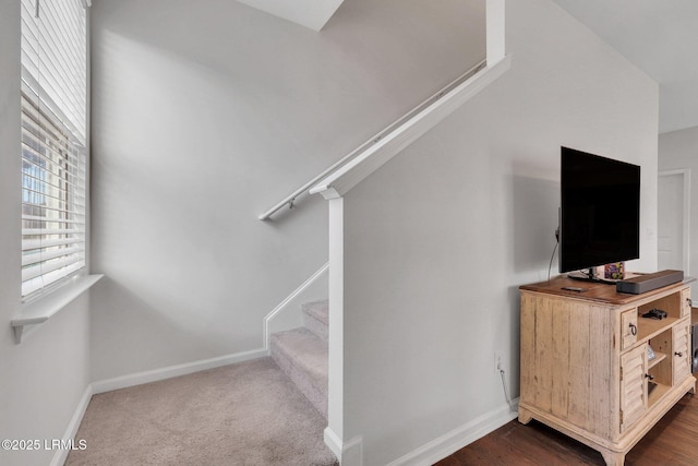 staircase with carpet floors