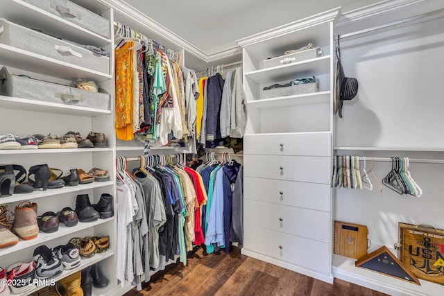 walk in closet featuring dark hardwood / wood-style floors