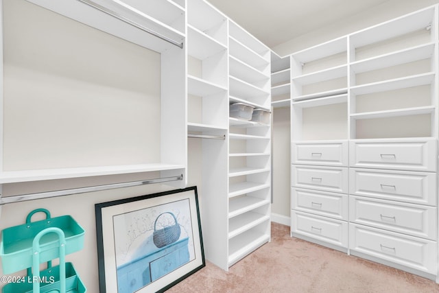 walk in closet featuring light colored carpet