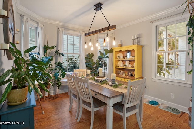 dining room featuring ornamental molding and wood-type flooring