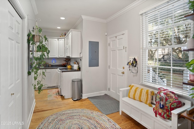 interior space with ornamental molding, light hardwood / wood-style flooring, and electric panel