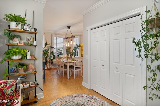 interior space with ornamental molding, a chandelier, and light hardwood / wood-style flooring