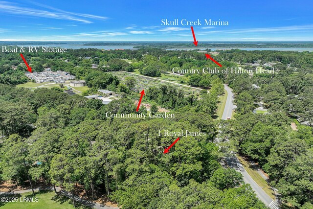 1 Royal James Dr, Hilton Head Island, SC 29926 - view of property location with a large body of water and a heavily wooded area