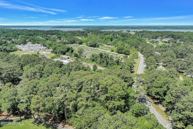 1 Royal James Dr, Hilton Head Island, SC 29926 - aerial view of property's location with a large body of water and a forest