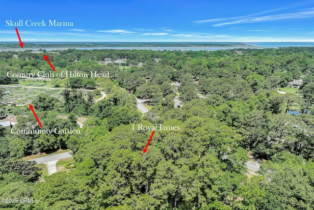 1 Royal James Dr, Hilton Head Island, SC 29926 - view of property location featuring a forest and a large body of water