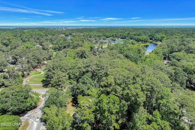 1 Royal James Dr, Hilton Head Island, SC 29926 - aerial overview of property's location with a heavily wooded area and a nearby body of water