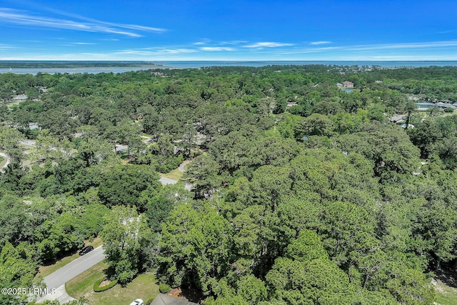 1 Royal James Dr, Hilton Head Island, SC 29926 - view of property location featuring a forest and a large body of water
