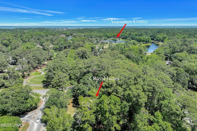 1 Royal James Dr, Hilton Head Island, SC 29926 - aerial overview of property's location with a heavily wooded area and a large body of water